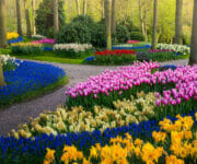 The little paths make harmony with the trees and different flowers all around them